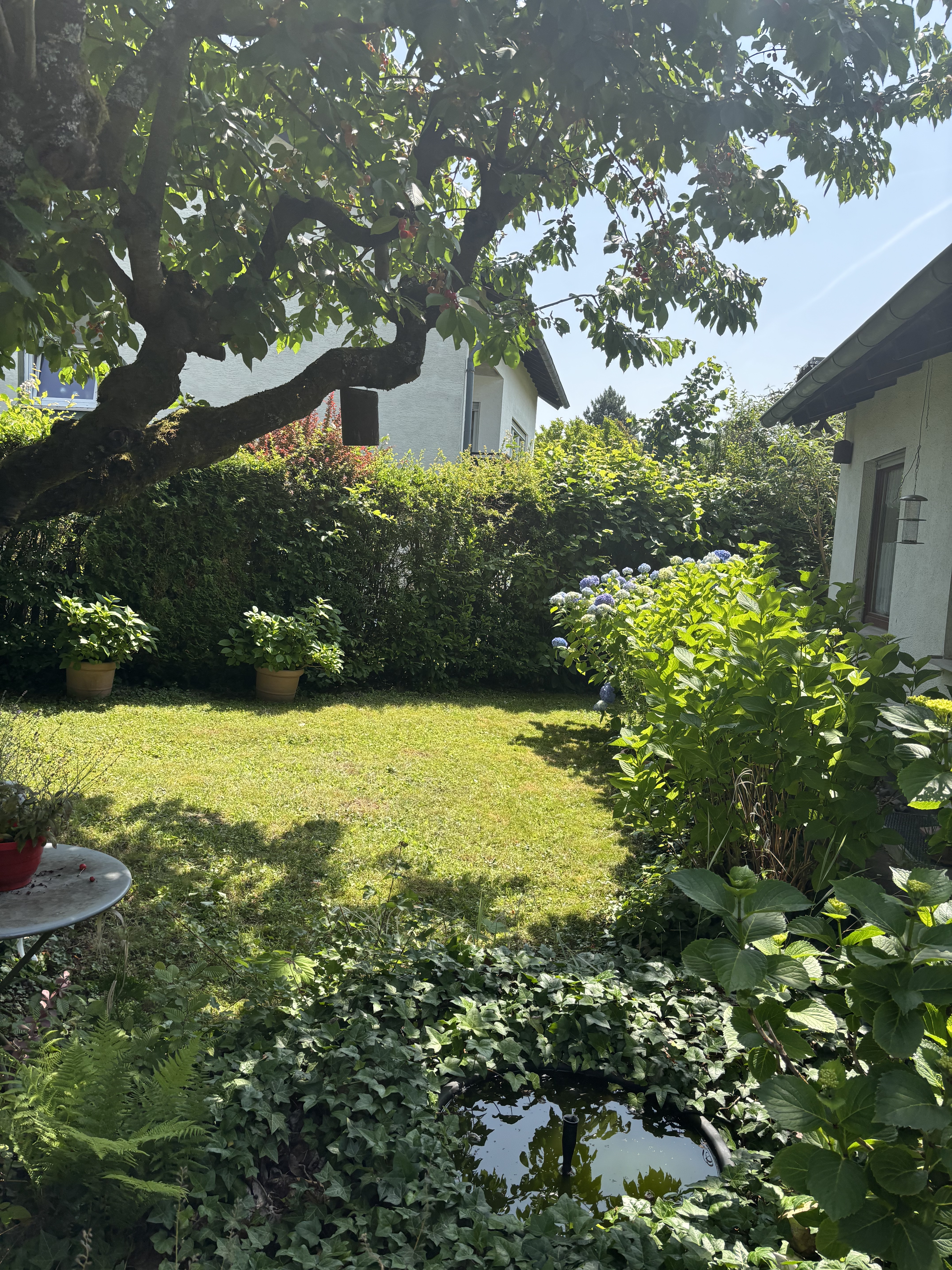 Referenz Gartenpflege 2
