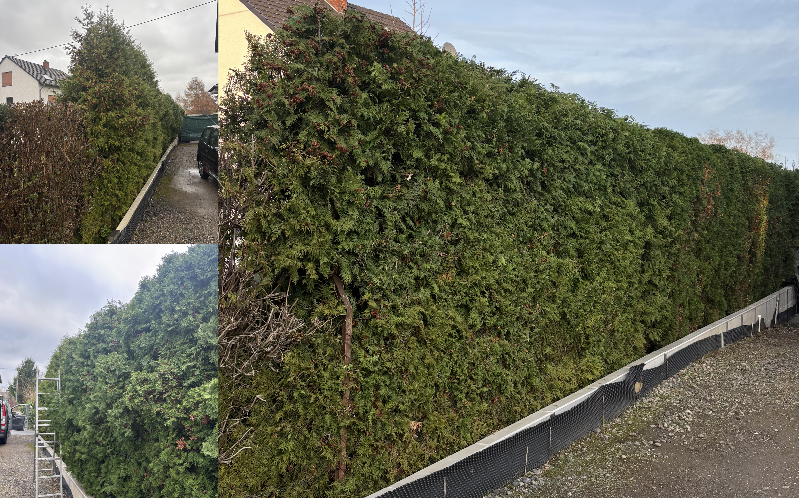 Vorher-Nachher Referenz Stromberg