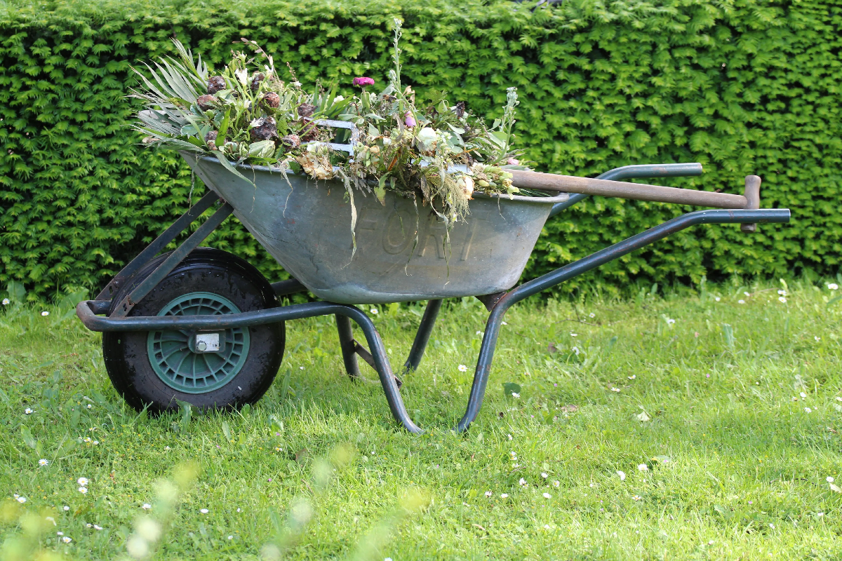 Gartenpflege